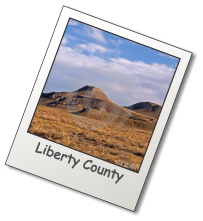 Liberty County