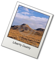 Liberty County